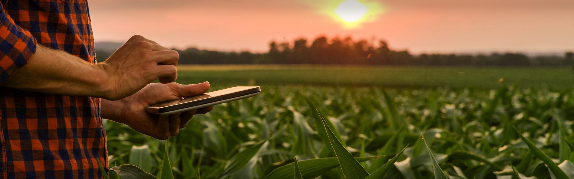 mężczyzna obsługuje telefon na polu slajd 3